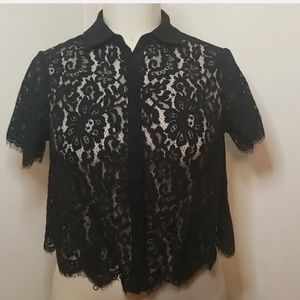 TORRID Black Lace Crop Top 00X